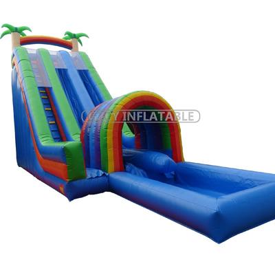 Tropical Rainforest Inflatable Water Slide