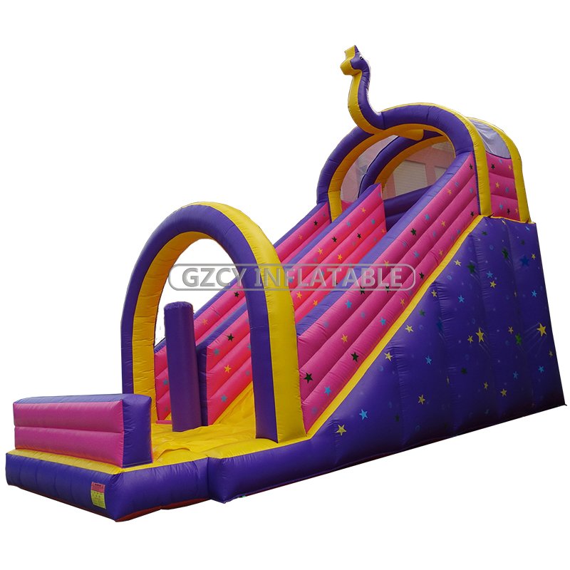 Outdoor Inflatable Slide