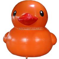 Cute inflatable Duck