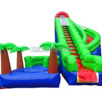 Inflatable Water Slide With Pool And Jungle