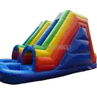 Durable Double Slides Inflatable Water Slide for Kids