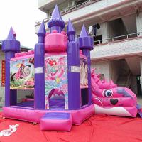 Inflatable Princess Jumping Bouncy Castle