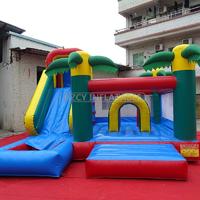 Backyard Inflatable Combos With Bounce House And Slides For Kids