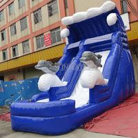Dolphin Inflatable Pool Slides For Inground Pools
