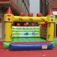 Commercial Indoor Mini Inflatable Castle