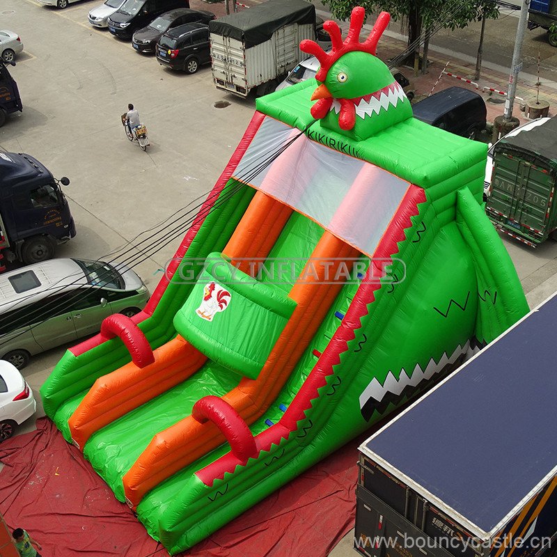 Outdoor Inflatable Amusement Park Slide