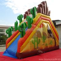 Desert Inflatable Slide