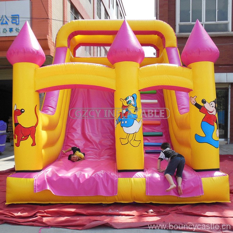 Backyard Inflatable Slide For Sale