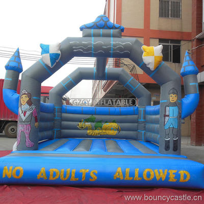 0.55mm PVC tarpaulin Inflatable Bouncy Castle