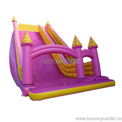 Giant Adult Inflatable Slide