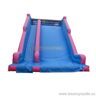 Giant Inflatable Slide For Sale