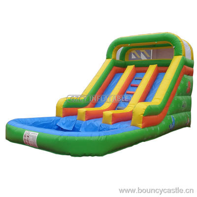 Family Summer Fun Inflatable Pool Slide